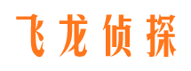 独山市调查公司